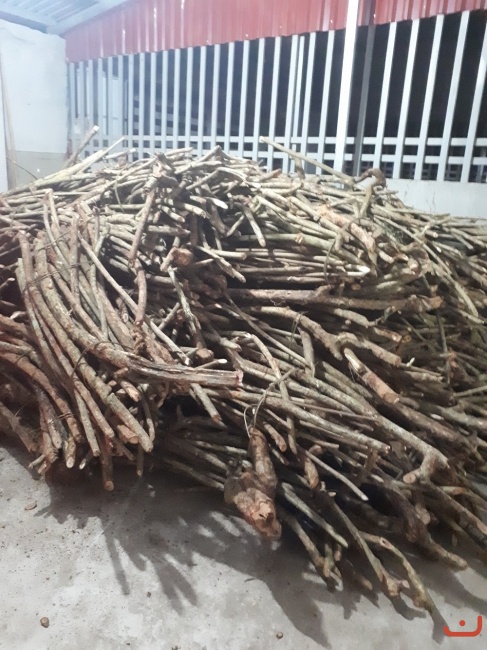 Thuốc vừa được chuyển về được xếp thành tầng đống